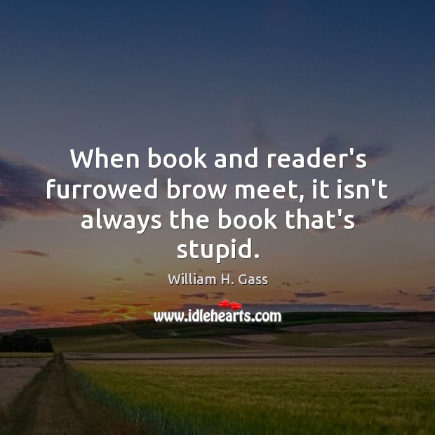When book and reader’s furrowed brow meet, it isn’t always the book that’s stupid. William H. Gass Picture Quote