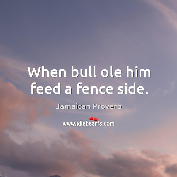 When bull ole him feed a fence side. Jamaican Proverbs Image