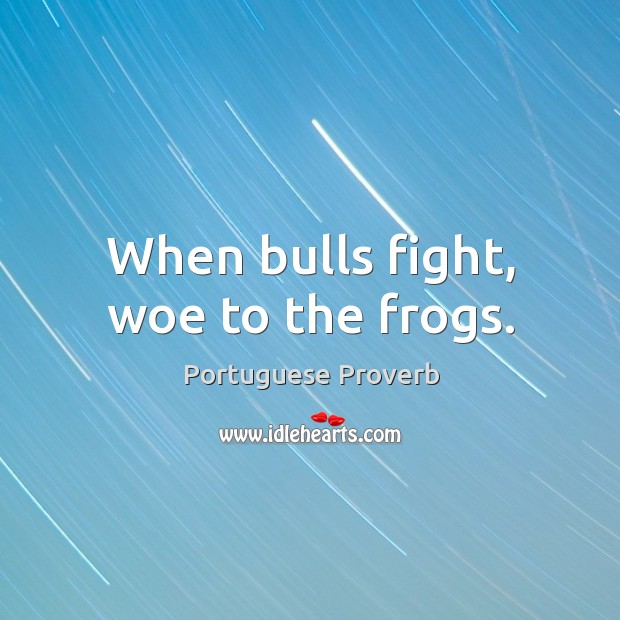 When bulls fight, woe to the frogs. Portuguese Proverbs Image