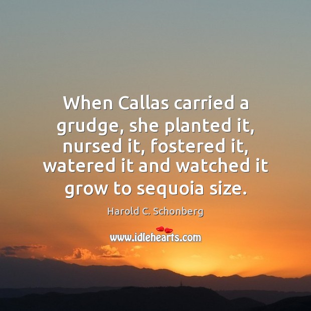 When Callas carried a grudge, she planted it, nursed it, fostered it, Harold C. Schonberg Picture Quote