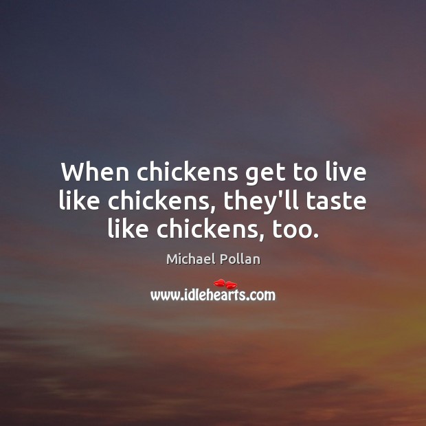 When chickens get to live like chickens, they’ll taste like chickens, too. Image