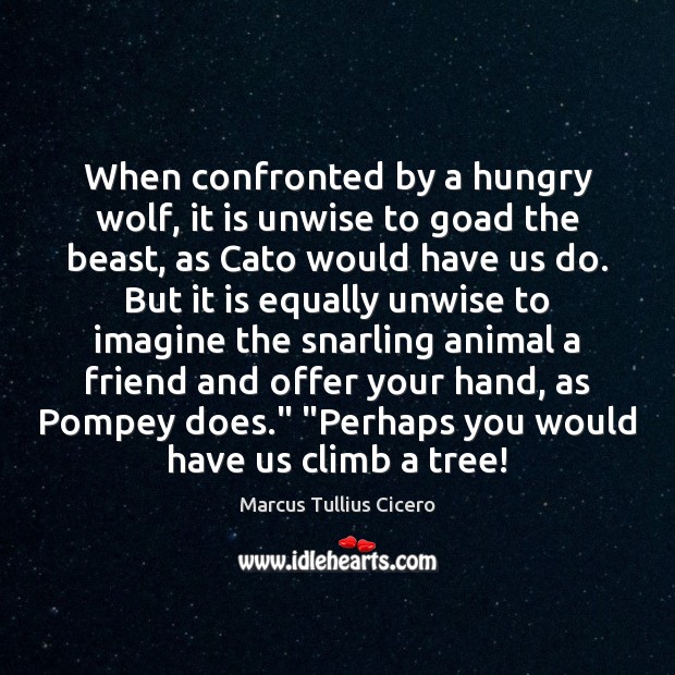 When confronted by a hungry wolf, it is unwise to goad the Marcus Tullius Cicero Picture Quote