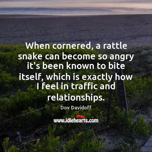 When cornered, a rattle snake can become so angry it’s been known Image