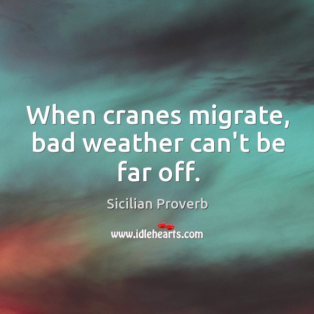 When cranes migrate, bad weather can’t be far off. Sicilian Proverbs Image