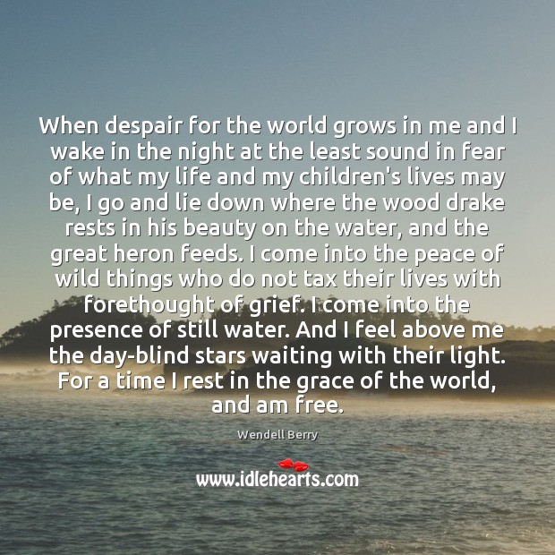 When despair for the world grows in me and I wake in Wendell Berry Picture Quote