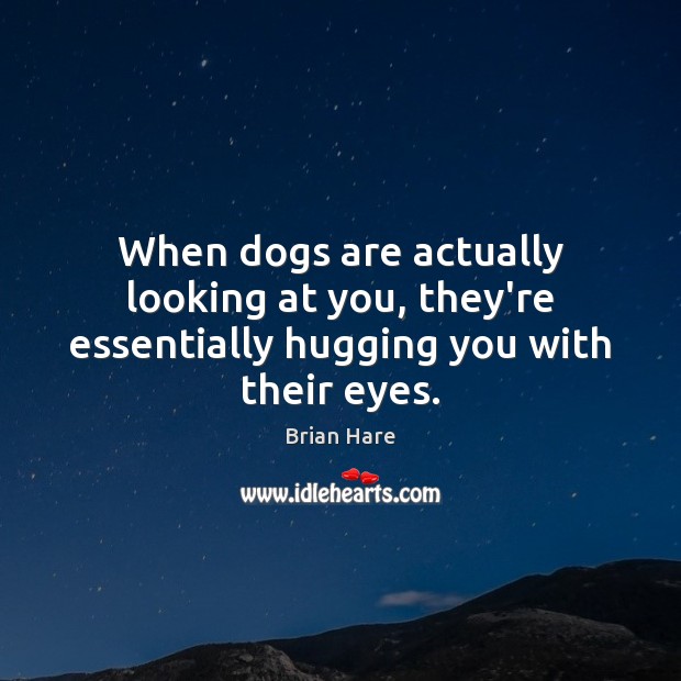 When dogs are actually looking at you, they’re essentially hugging you with their eyes. Brian Hare Picture Quote