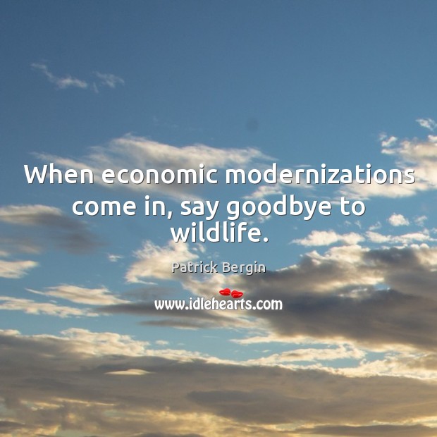 When economic modernizations come in, say goodbye to wildlife. Image