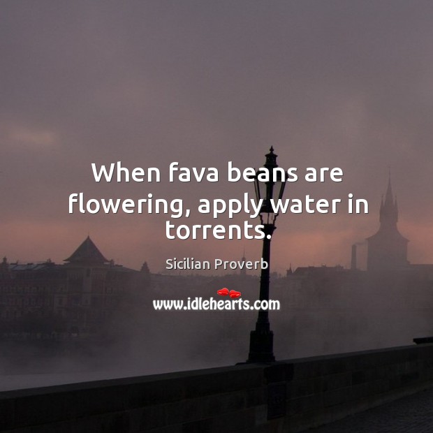When fava beans are flowering, apply water in torrents. Sicilian Proverbs Image