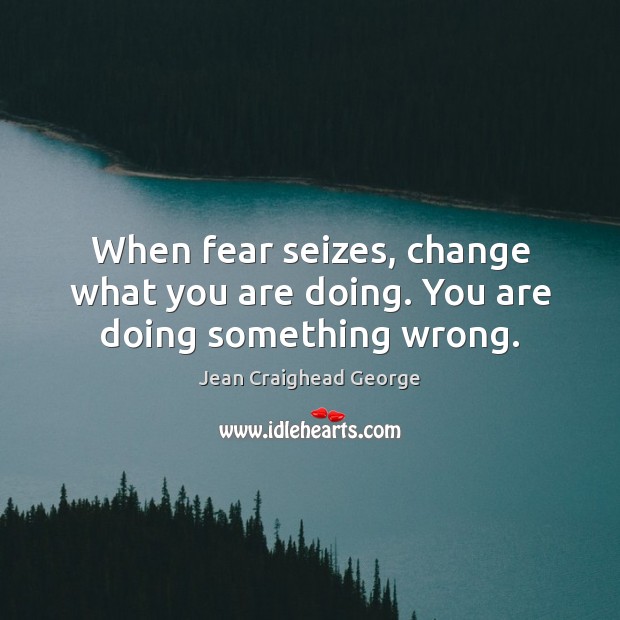 When fear seizes, change what you are doing. You are doing something wrong. Jean Craighead George Picture Quote