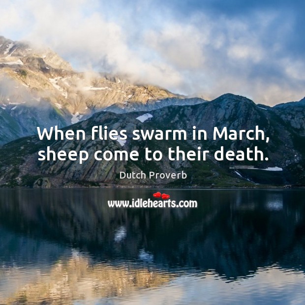 When flies swarm in march, sheep come to their death. Dutch Proverbs Image