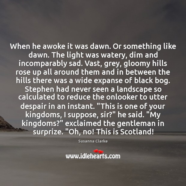 When he awoke it was dawn. Or something like dawn. The light Susanna Clarke Picture Quote