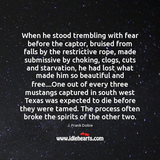 When he stood trembling with fear before the captor, bruised from falls J. Frank Dobie Picture Quote