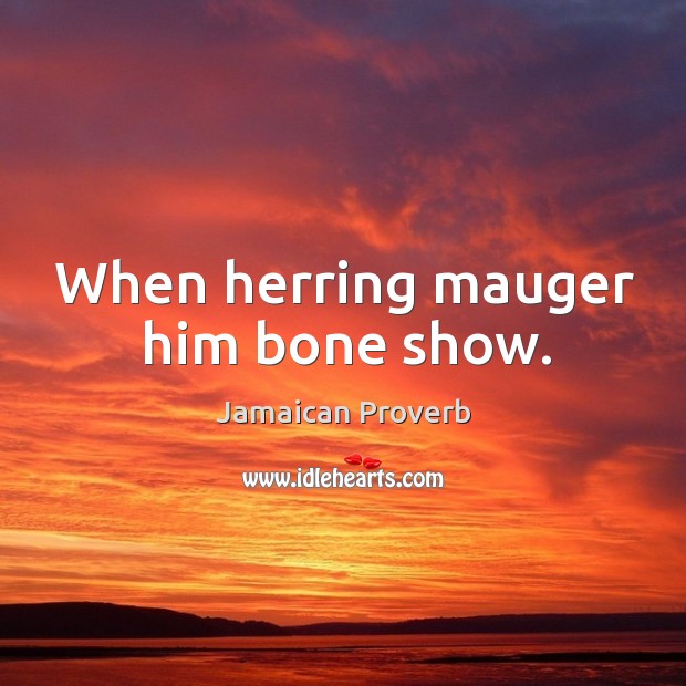 When herring mauger him bone show. Jamaican Proverbs Image