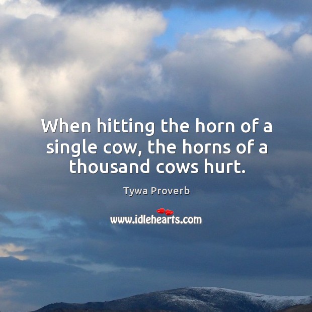 When hitting the horn of a single cow, the horns of a thousand cows hurt. Tywa Proverbs Image