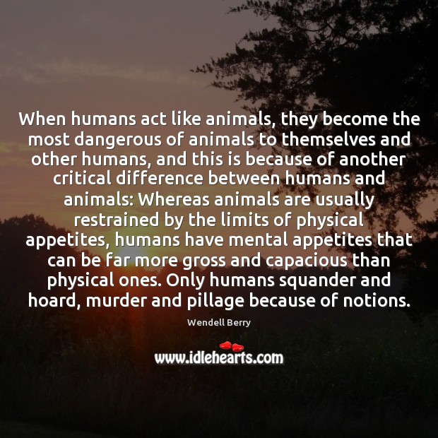 When humans act like animals, they become the most dangerous of animals Wendell Berry Picture Quote