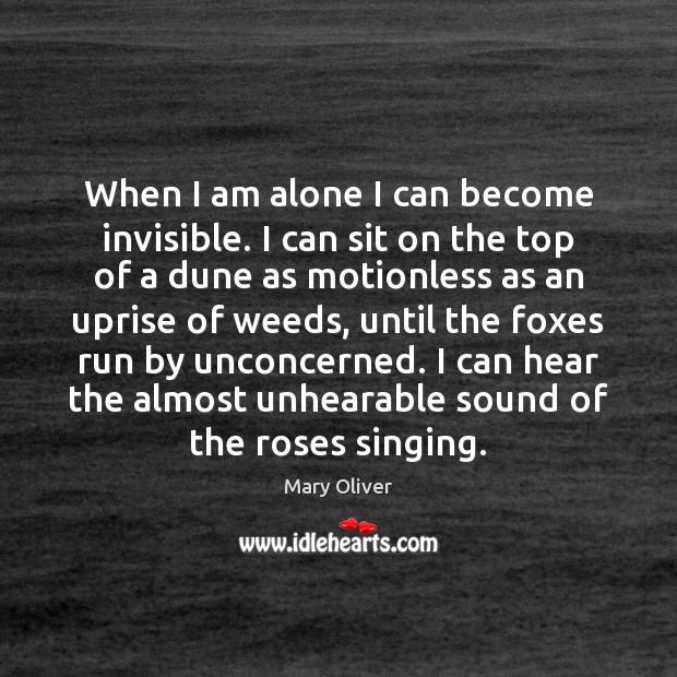 When I am alone I can become invisible. I can sit on Mary Oliver Picture Quote