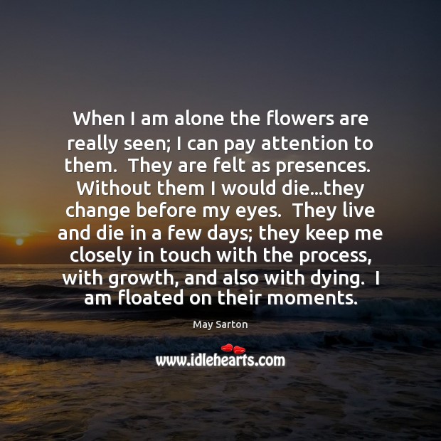 When I am alone the flowers are really seen; I can pay May Sarton Picture Quote