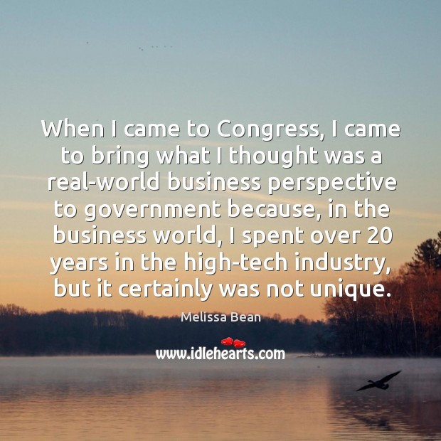 When I came to congress, I came to bring what I thought was a real-world business perspective to government because Melissa Bean Picture Quote