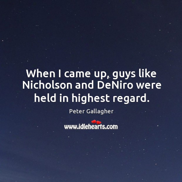 When I came up, guys like nicholson and deniro were held in highest regard. Peter Gallagher Picture Quote