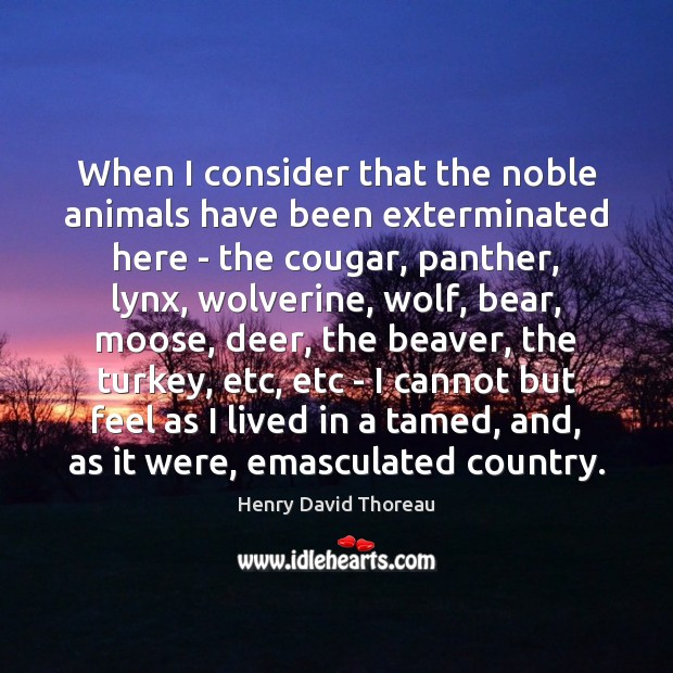 When I consider that the noble animals have been exterminated here – Image