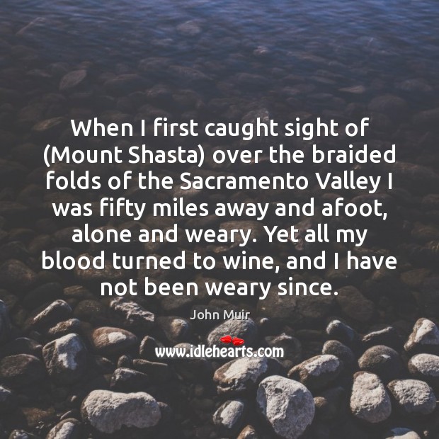 When I first caught sight of (Mount Shasta) over the braided folds John Muir Picture Quote