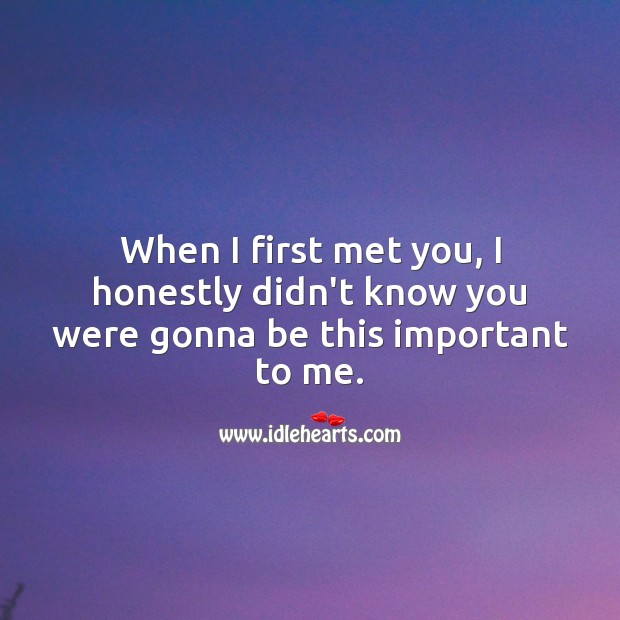 When I first met you, I honestly didn’t know you were gonna be this important to me. Cute Love Quotes Image