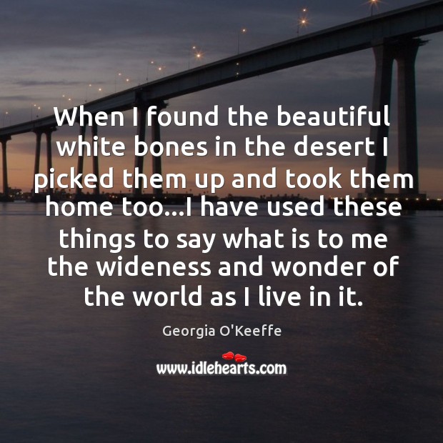 When I found the beautiful white bones in the desert I picked Image