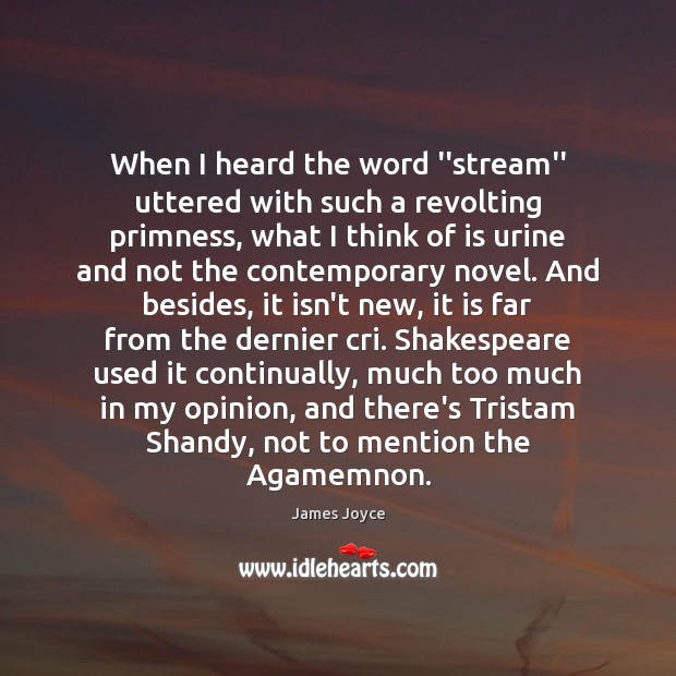 When I heard the word ”stream” uttered with such a revolting primness, James Joyce Picture Quote