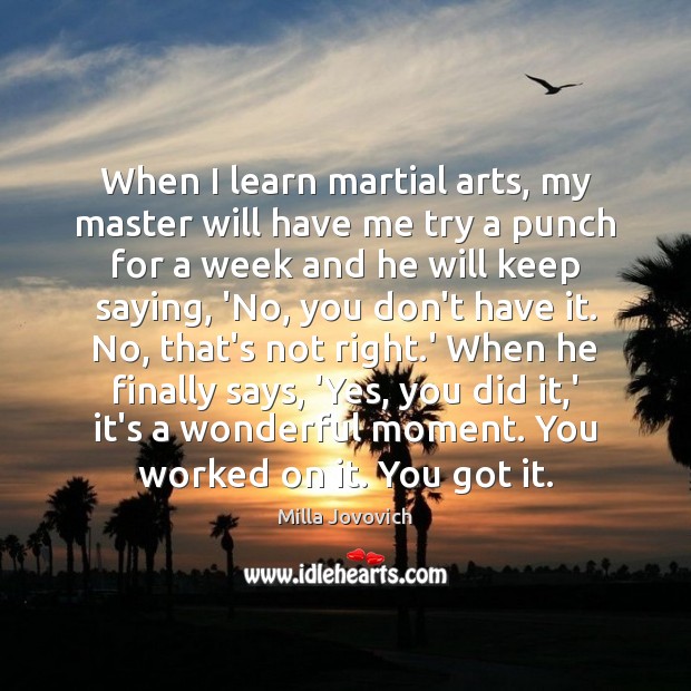 When I learn martial arts, my master will have me try a Milla Jovovich Picture Quote