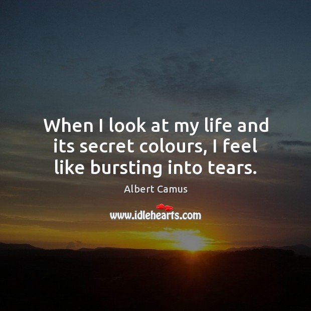 When I look at my life and its secret colours, I feel like bursting into tears. 