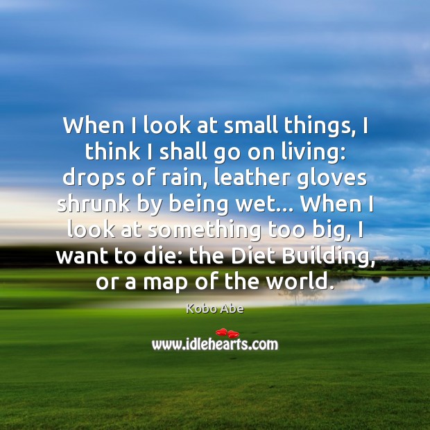 When I look at small things, I think I shall go on Kobo Abe Picture Quote