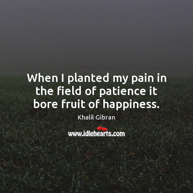 When I planted my pain in the field of patience it bore fruit of happiness. Khalil Gibran Picture Quote
