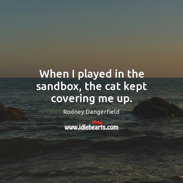 When I played in the sandbox, the cat kept covering me up. Image