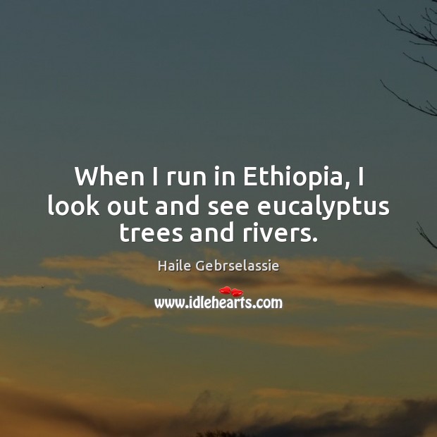When I run in Ethiopia, I look out and see eucalyptus trees and rivers. Image