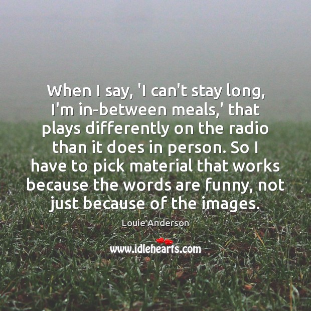 When I say, ‘I can’t stay long, I’m in-between meals,’ that Louie Anderson Picture Quote