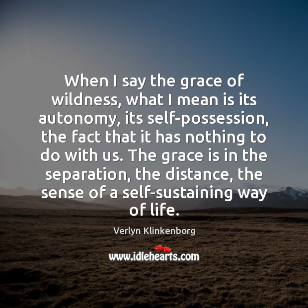 When I say the grace of wildness, what I mean is its Verlyn Klinkenborg Picture Quote