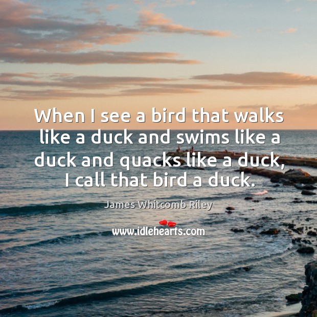 When I see a bird that walks like a duck and swims like a duck and quacks like a duck, I call that bird a duck. James Whitcomb Riley Picture Quote