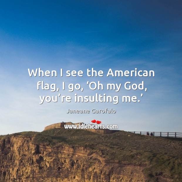 When I see the american flag, I go, ‘oh my God, you’re insulting me.’ Janeane Garofalo Picture Quote