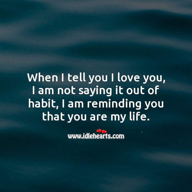When I tell you I love you, I am reminding you that you are my life. I Love You Quotes Image