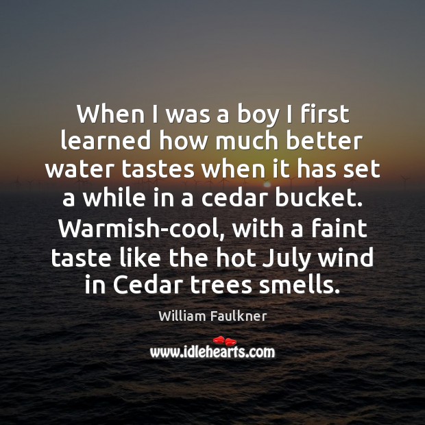 When I was a boy I first learned how much better water William Faulkner Picture Quote