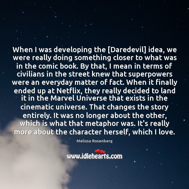 When I was developing the [Daredevil] idea, we were really doing something Melissa Rosenberg Picture Quote