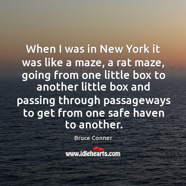 When I was in new york it was like a maze, a rat maze, going from one little box to another Image
