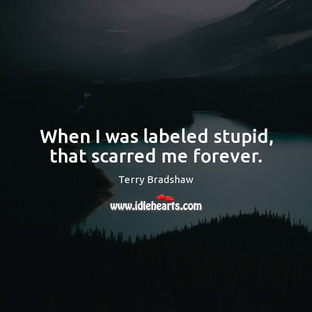 When I was labeled stupid, that scarred me forever. Terry Bradshaw Picture Quote