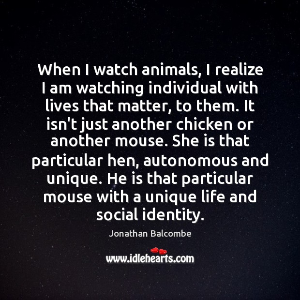 When I watch animals, I realize I am watching individual with lives Image