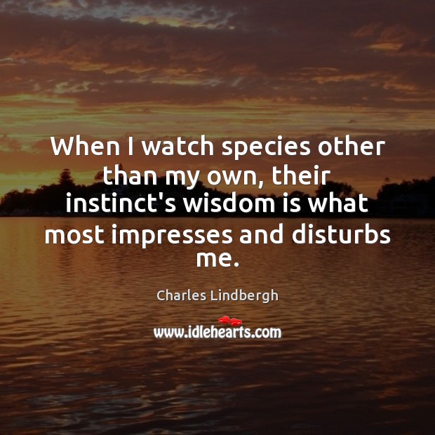 When I watch species other than my own, their instinct’s wisdom is Image