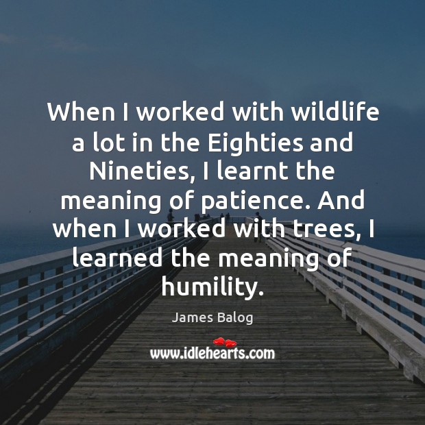 When I worked with wildlife a lot in the Eighties and Nineties, James Balog Picture Quote