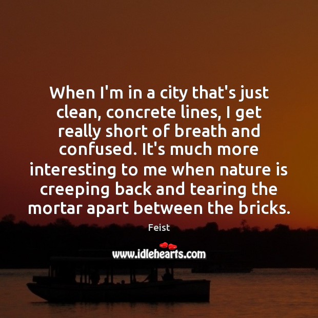 When I’m in a city that’s just clean, concrete lines, I get Feist Picture Quote