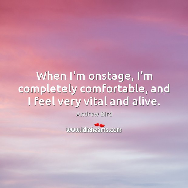 When I’m onstage, I’m completely comfortable, and I feel very vital and alive. Andrew Bird Picture Quote