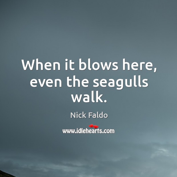 When it blows here, even the seagulls walk. Nick Faldo Picture Quote