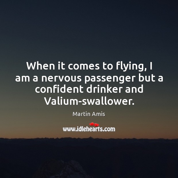 When it comes to flying, I am a nervous passenger but a Martin Amis Picture Quote